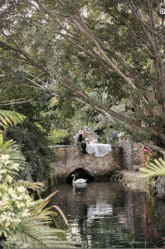 Beautiful scenery bridal portrait with swan